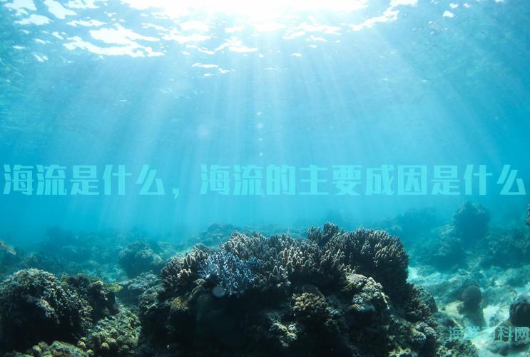 海流是什么，海流的主要成因是什么